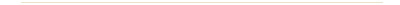Image of a horizontal dividing line